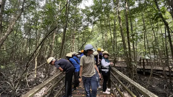 CHANGE4CLIMATE X Mangrove Conservation 5