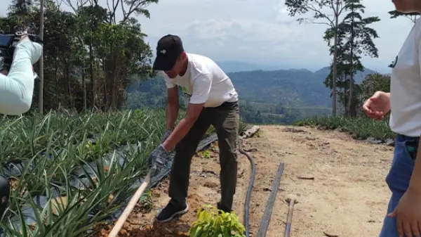 JK Budi X Saora EDOTCO 4