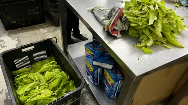 SAYNO2WASTE X Food Rescue 4