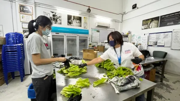 SAYNO2WASTE X Food Rescue 3