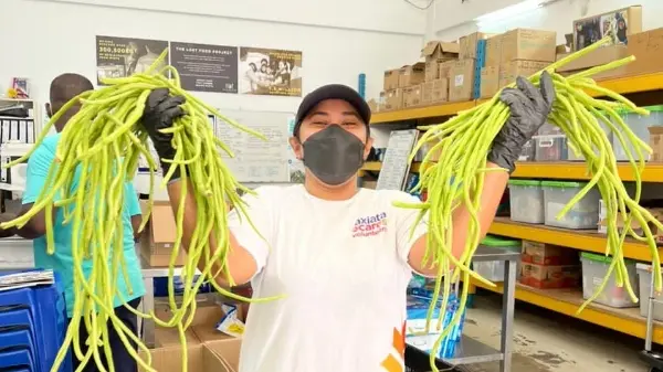 SAYNO2WASTE X Food Rescue 1