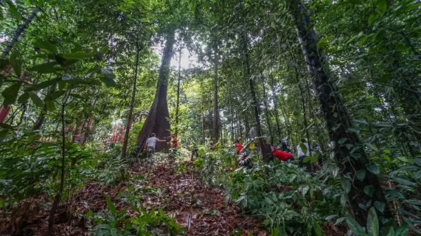 CHANGE4CLIMATE X Reforestation Sponsorship AF 3