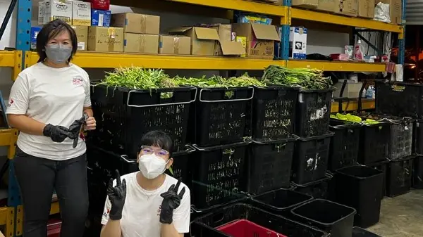 SAYNO2WASTE X Food Rescue 6