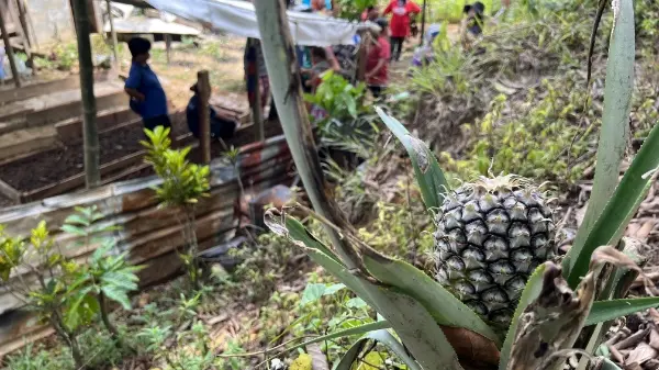 JK Murni X Gravity Water Project 2