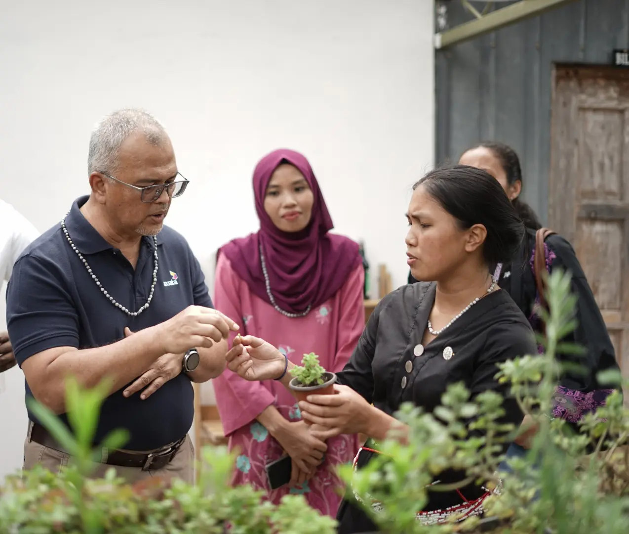 Sabah Grassroot Sosea