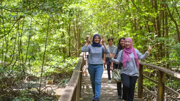 CHANGE4CLIMATE X Mangrove Conservation 3